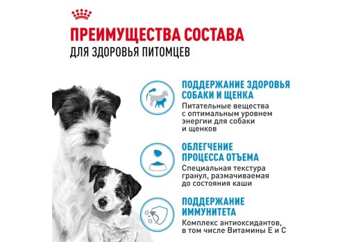 Royal Canin Mini Starter / Сухой корм Роял Канин Мини Стартер для Щенков Мелких пород в возрасте до 2 месяцев