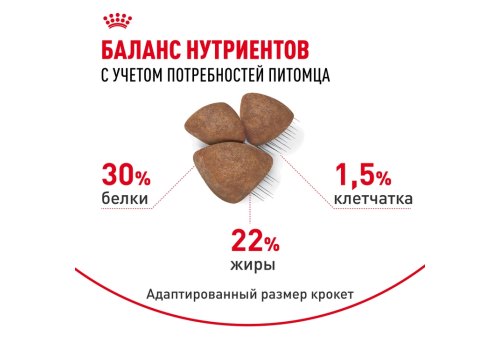 Royal Canin Mini Starter / Сухой корм Роял Канин Мини Стартер для Щенков Мелких пород в возрасте до 2 месяцев