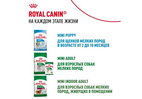 Royal Canin Mini Starter / Сухой корм Роял Канин Мини Стартер для Щенков Мелких пород в возрасте до 2 месяцев