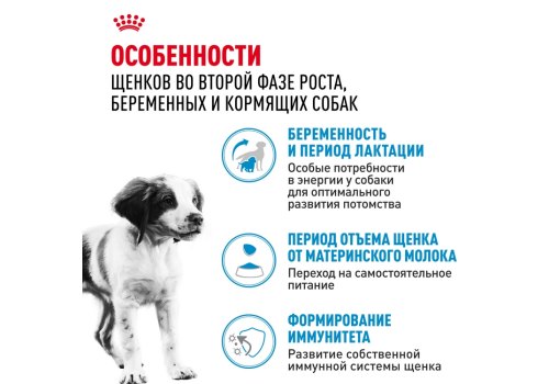 Royal Canin Medium Starter / Сухой корм Роял Канин Медиум Стартер для Щенков Средних пород в возрасте до 2 месяцев
