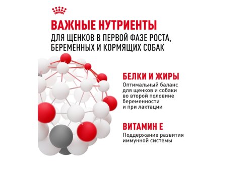 Royal Canin Medium Starter / Сухой корм Роял Канин Медиум Стартер для Щенков Средних пород в возрасте до 2 месяцев