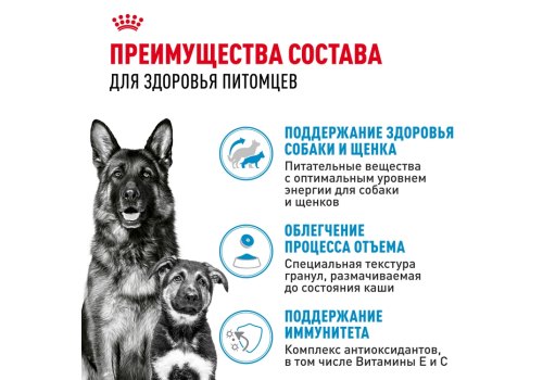 Royal Canin Maxi Starter / Сухой корм Роял Канин Макси Стартер для Щенков Крупных пород до 2 месяцев