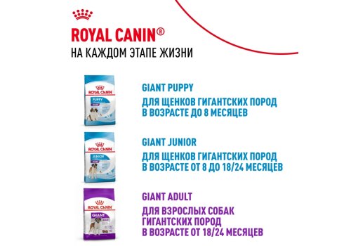 Royal Canin Giant Starter / Сухой корм Роял Канин Джайнт Стартер для Щенков Гигантских пород в возрасте до 2 месяцев