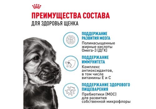Royal Canin Mini Puppy / Сухой корм Роял Канин Мини Паппи для Щенков Мелких пород в возрасте от 2 до 10 месяцев