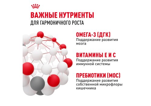 Royal Canin Mini Puppy / Сухой корм Роял Канин Мини Паппи для Щенков Мелких пород в возрасте от 2 до 10 месяцев