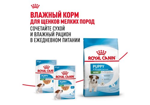 Royal Canin Mini Puppy / Сухой корм Роял Канин Мини Паппи для Щенков Мелких пород в возрасте от 2 до 10 месяцев