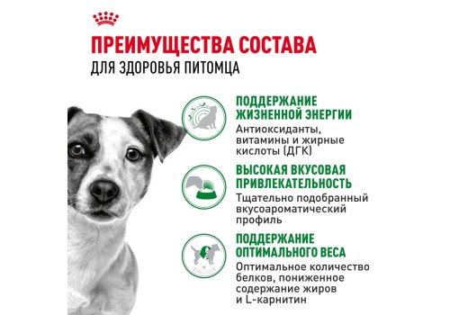 Royal Canin Mini Adult 8+ / Сухой корм Роял Канин Мини для Пожилых собак Мелких пород старше 8 лет