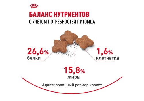Royal Canin Mini Adult 8+ / Сухой корм Роял Канин Мини для Пожилых собак Мелких пород старше 8 лет