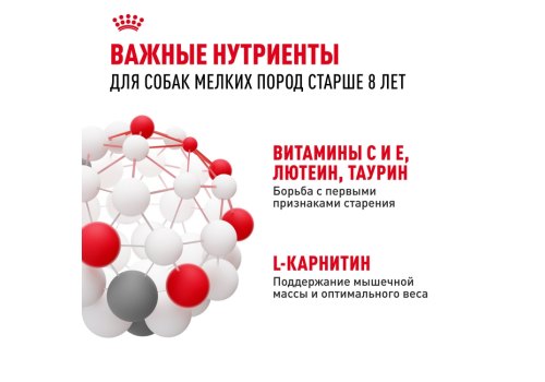 Royal Canin Mini Adult 8+ / Сухой корм Роял Канин Мини для Пожилых собак Мелких пород старше 8 лет