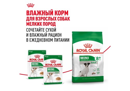 Royal Canin Mini Adult 8+ / Сухой корм Роял Канин Мини для Пожилых собак Мелких пород старше 8 лет