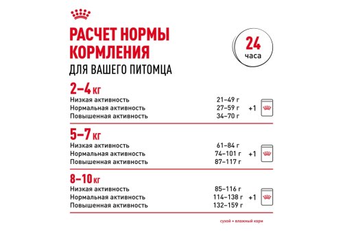 Royal Canin Mini Adult 8+ / Сухой корм Роял Канин Мини для Пожилых собак Мелких пород старше 8 лет