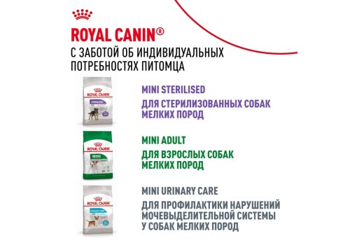 Royal Canin Mini Adult 8+ / Сухой корм Роял Канин Мини для Пожилых собак Мелких пород старше 8 лет