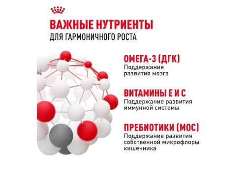 Royal Canin Medium Puppy / Сухой корм Роял Канин Медиум Паппи для Щенков Средних пород в возрасте от 2 до 12 месяцев