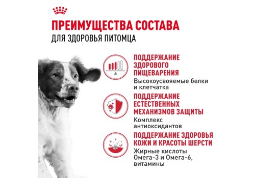 Royal Canin Medium Adult / Сухой корм Роял Канин Медиум Эдалт для Взрослых собак Средних пород в возрасте от 1 года до 7 лет