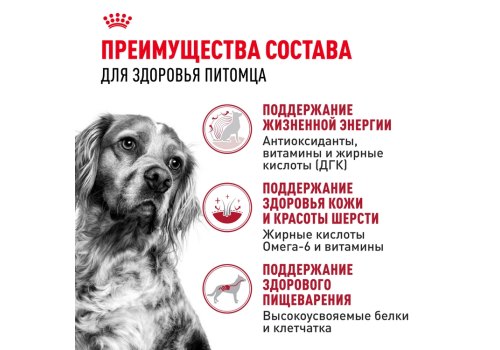 Royal Canin Medium Adult 7+ / Сухой корм Роял Канин Медиум для Пожилых собак Средних пород старше 7 лет