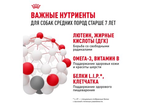 Royal Canin Medium Adult 7+ / Сухой корм Роял Канин Медиум для Пожилых собак Средних пород старше 7 лет