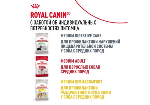 Royal Canin Medium Adult 7+ / Сухой корм Роял Канин Медиум для Пожилых собак Средних пород старше 7 лет