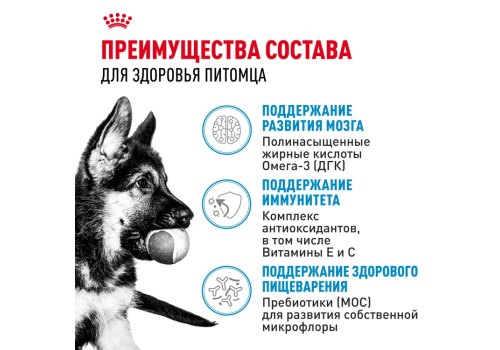 Royal Canin Maxi Puppy / Сухой корм Роял Канин Макси Паппи для Щенков Крупных пород в возрасте от 2 до 15 месяцев