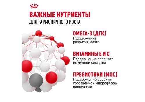 Royal Canin Maxi Puppy / Сухой корм Роял Канин Макси Паппи для Щенков Крупных пород в возрасте от 2 до 15 месяцев