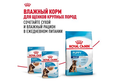 Royal Canin Maxi Puppy / Сухой корм Роял Канин Макси Паппи для Щенков Крупных пород в возрасте от 2 до 15 месяцев