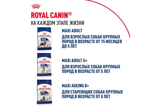 Royal Canin Maxi Puppy / Сухой корм Роял Канин Макси Паппи для Щенков Крупных пород в возрасте от 2 до 15 месяцев
