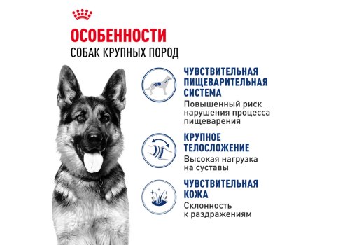 Royal Canin Maxi Adult / Сухой корм Роял Канин Макси Эдалт для Взрослых собак Крупных пород в возрасте от 15 месяцев до 5 лет