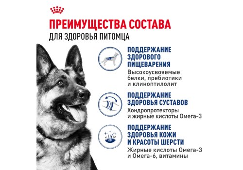 Royal Canin Maxi Adult / Сухой корм Роял Канин Макси Эдалт для Взрослых собак Крупных пород в возрасте от 15 месяцев до 5 лет