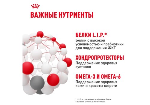 Royal Canin Maxi Adult / Сухой корм Роял Канин Макси Эдалт для Взрослых собак Крупных пород в возрасте от 15 месяцев до 5 лет
