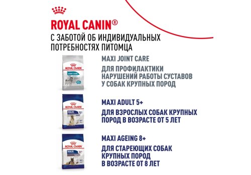 Royal Canin Maxi Adult / Сухой корм Роял Канин Макси Эдалт для Взрослых собак Крупных пород в возрасте от 15 месяцев до 5 лет