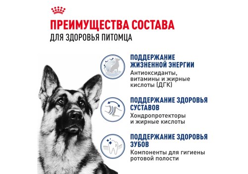 Royal Canin Maxi Adult 5+ / Сухой корм Роял Канин Макси Эдалт 5+ для взрослых собак Крупных пород в возрасте от 5 до 8 лет
