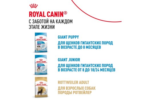 Royal Canin Giant Adult / Сухой корм Роял Канин Джайнт Эдалт для Взрослых собак Гигантских пород в возрасте старше 2 лет