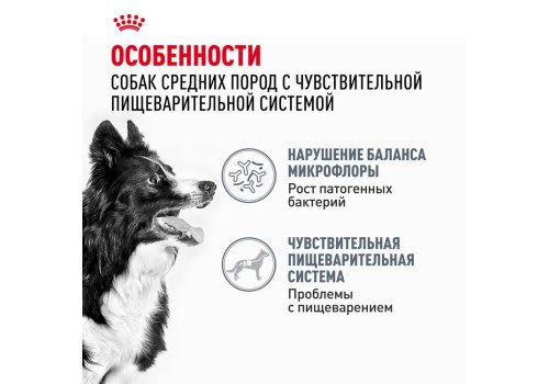 Royal Canin Medium Digestive Care / Сухой корм Роял Канин Медиум Дайджестив Кэа для собак Средних пород с Чувствительным пищеварением