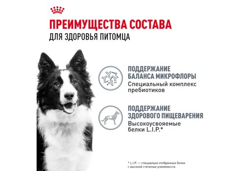 Royal Canin Medium Digestive Care / Сухой корм Роял Канин Медиум Дайджестив Кэа для собак Средних пород с Чувствительным пищеварением
