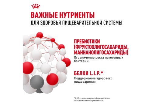 Royal Canin Medium Digestive Care / Сухой корм Роял Канин Медиум Дайджестив Кэа для собак Средних пород с Чувствительным пищеварением