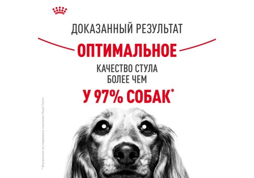 Royal Canin Medium Digestive Care / Сухой корм Роял Канин Медиум Дайджестив Кэа для собак Средних пород с Чувствительным пищеварением