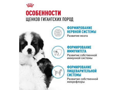 Royal Canin Giant Puppy / Сухой корм Роял Канин Джайнт Паппи для Щенков Гигантских пород в возрасте от 2 до 8 месяцев