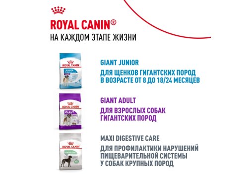Royal Canin Giant Puppy / Сухой корм Роял Канин Джайнт Паппи для Щенков Гигантских пород в возрасте от 2 до 8 месяцев