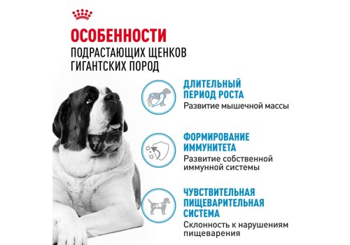 Royal Canin Giant Junior / Сухой корм Роял Канин Джайнт Юниор для Щенков Гигантских пород в возрасте от 8 месяцев до 2 лет