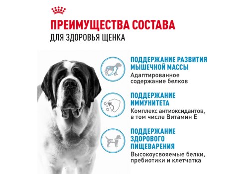 Royal Canin Giant Junior / Сухой корм Роял Канин Джайнт Юниор для Щенков Гигантских пород в возрасте от 8 месяцев до 2 лет