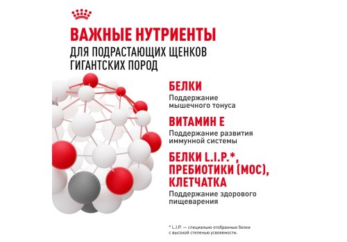 Royal Canin Giant Junior / Сухой корм Роял Канин Джайнт Юниор для Щенков Гигантских пород в возрасте от 8 месяцев до 2 лет