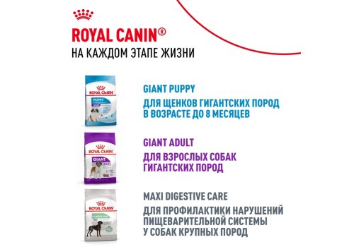 Royal Canin Giant Junior / Сухой корм Роял Канин Джайнт Юниор для Щенков Гигантских пород в возрасте от 8 месяцев до 2 лет