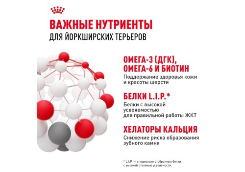 Royal Canin Breed dog Yorkshire Terrier Adult / Сухой корм Роял Канин для взрослых собак породы Йоркширский Терьер старше 10 месяцев