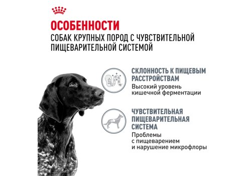 Royal Canin Maxi Digestive Care / Сухой корм Роял Канин Макси Дайджестив Кэа для собак Крупных пород с Чувствительным пищеварением