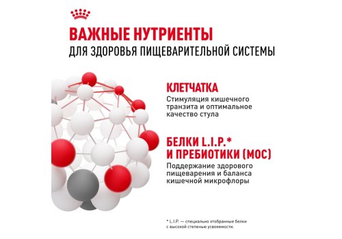 Royal Canin Maxi Digestive Care / Сухой корм Роял Канин Макси Дайджестив Кэа для собак Крупных пород с Чувствительным пищеварением