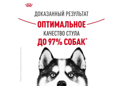 Royal Canin Maxi Digestive Care / Сухой корм Роял Канин Макси Дайджестив Кэа для собак Крупных пород с Чувствительным пищеварением
