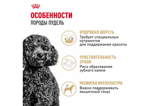 Royal Canin Breed dog Poodle Adult / Сухой корм Роял Канин для взрослых собак породы Пудель старше 10 месяцев