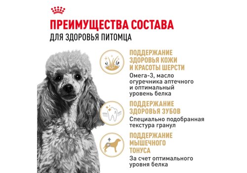 Royal Canin Breed dog Poodle Adult / Сухой корм Роял Канин для взрослых собак породы Пудель старше 10 месяцев