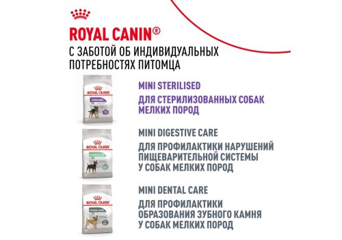 Royal Canin Breed dog Poodle Adult / Сухой корм Роял Канин для взрослых собак породы Пудель старше 10 месяцев