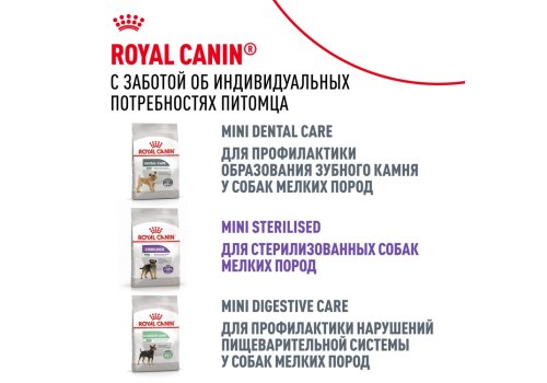 Royal Canin Breed dog Dachshund Adult / Сухой корм Роял Канин для взрослых собак породы Такса старше 10 месяцев