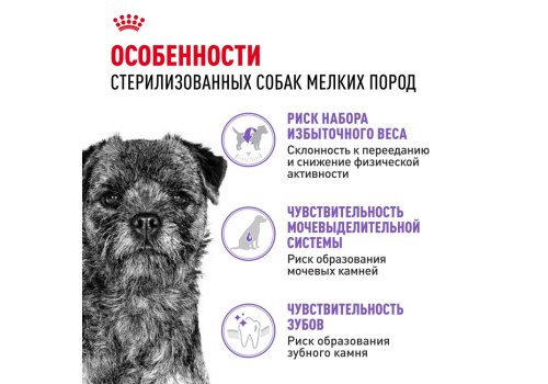 Royal Canin Mini Adult Sterilised / Сухой корм Роял Канин Мини Эдалт Стерилайзд для взрослых Стерилизованных собак Мелких пород в возрасте от 10 месяцев до 8 лет со склонностью к Избыточному весу